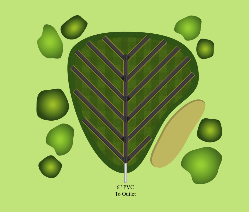 Green Layout 1024x870