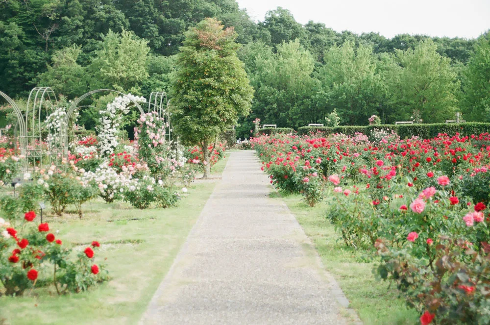horticultureal areas