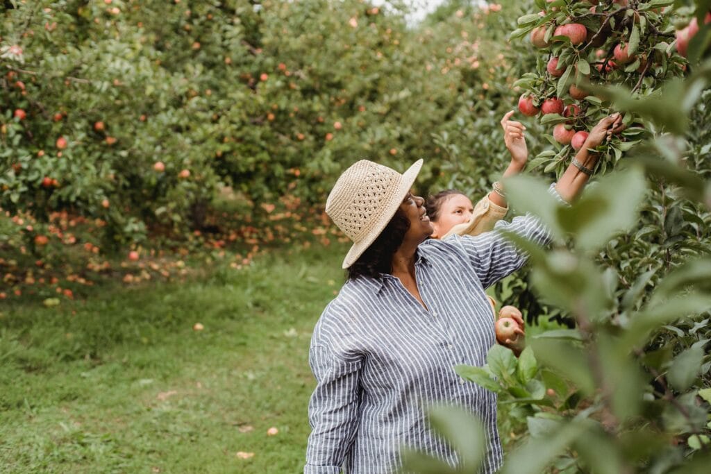 Positive Hispanic female farmer picking apples with daughter in garden with green lush plants